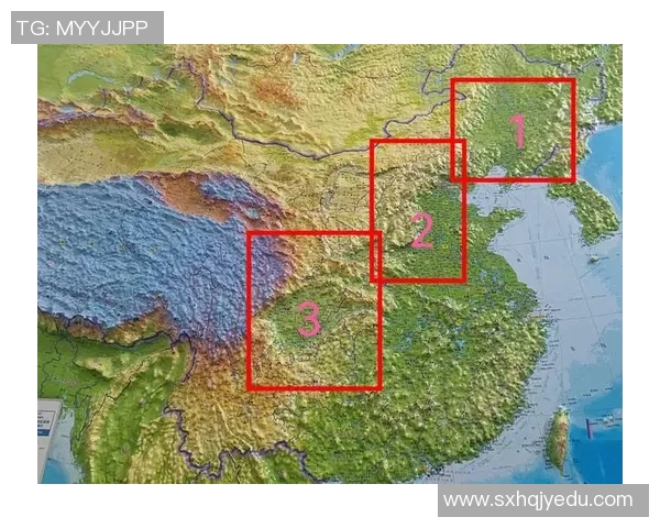 杭州排球队防守策略解析与战术创新探讨