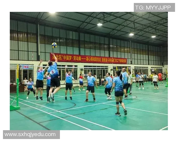 深度对话：探寻陈丽在排球世界中的奋斗与成长之路