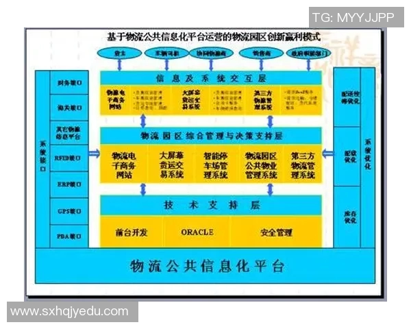 深圳篮球队运营全景解析：从管理模式到市场策略的深度剖析